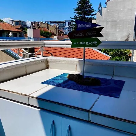 Family Argo מלון